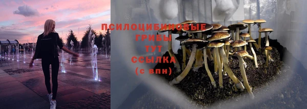 прущие крисы Приозерск