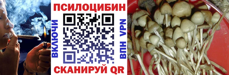 Псилоцибиновые грибы Cubensis  купить наркотик  Короча 